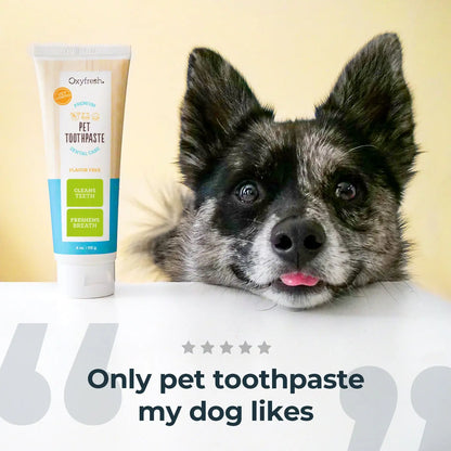 Premium Pet Toothpaste for Dogs & Cats — Fresh Breath, Plaque & Tartar Removal, Easy Daily Oral Care